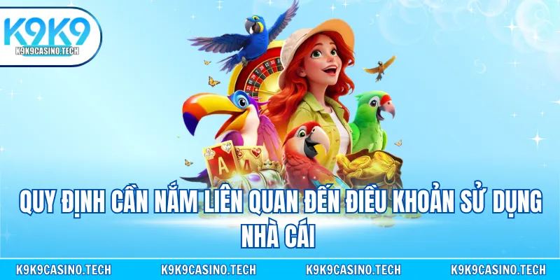 Quy định cần nắm liên quan đến điều khoản sử dụng nhà cái